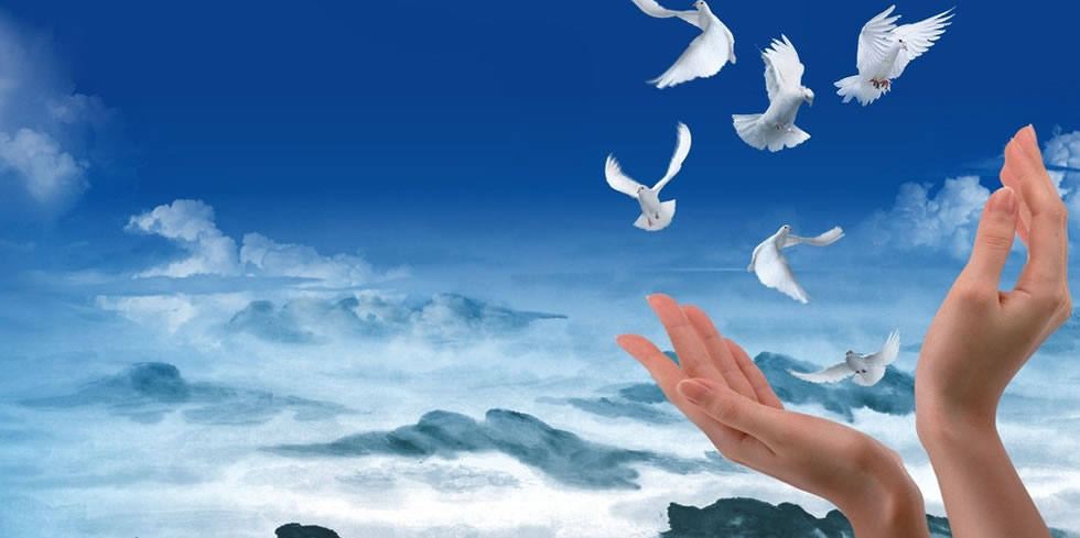 ��(x��)��(ji��)